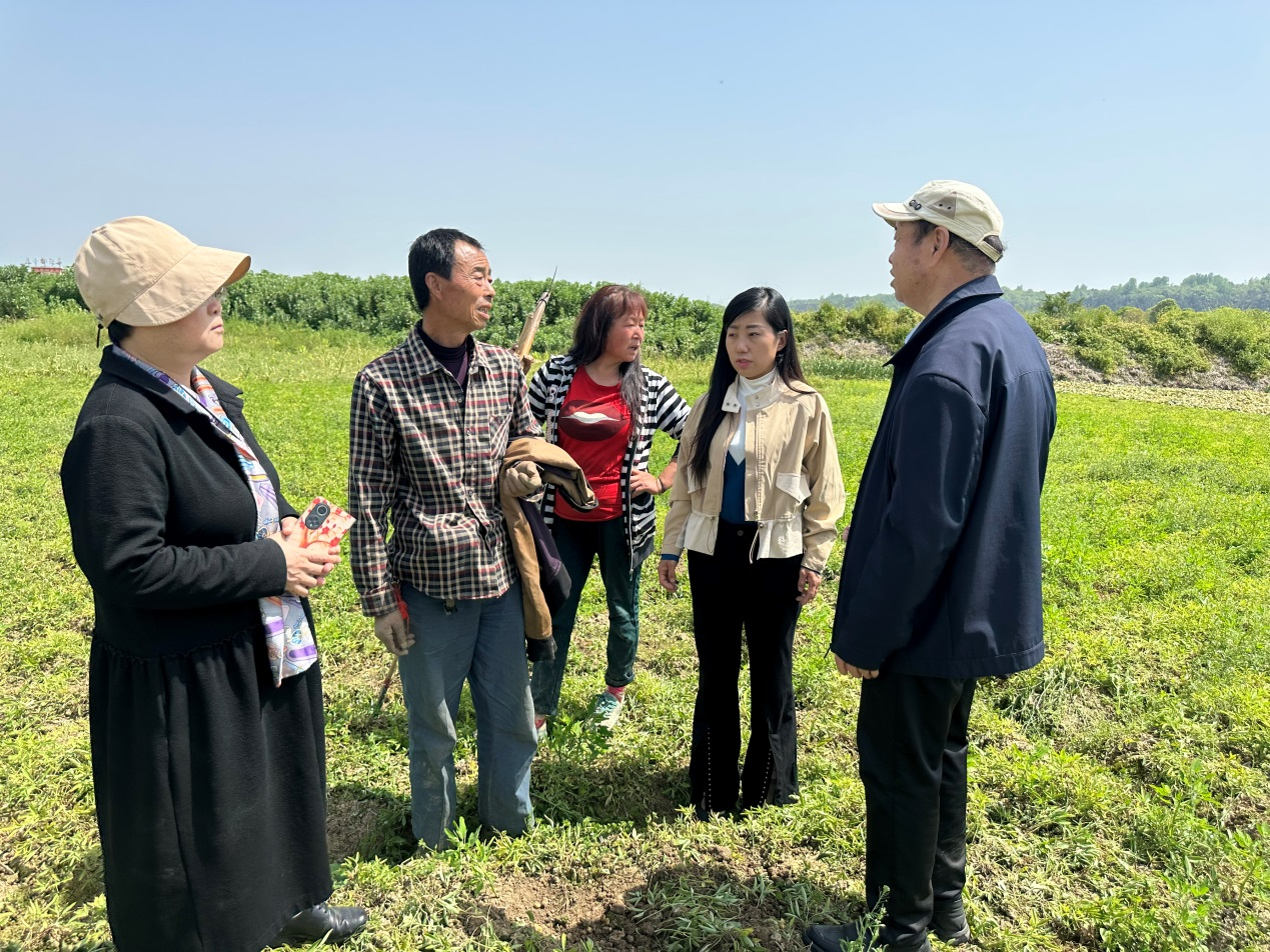 Landbrugseksperter i traditionel kinesisk medicin