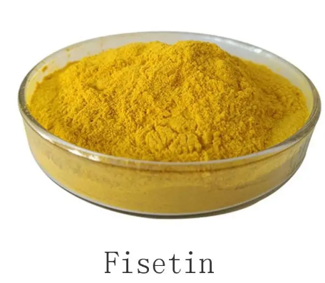 fisetin extract.png