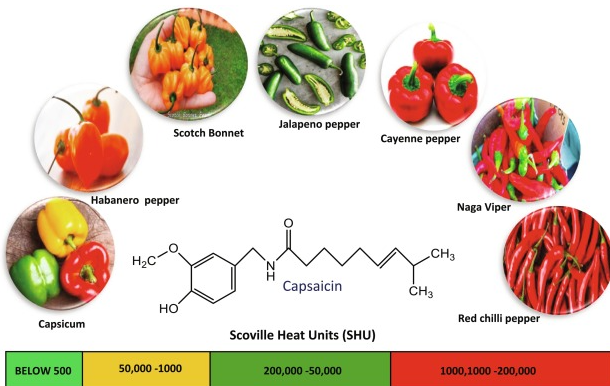 Hvilke fødevarer indeholder Capsaicin.png