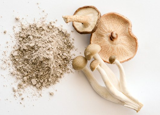 Hvilken svamp er bedst til anti-aging.png