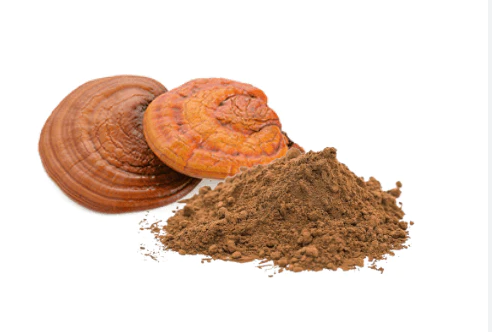 reishi spore extract.png